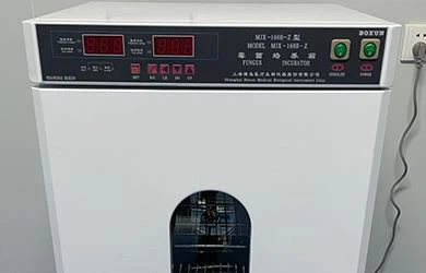 LIONCARE (10)